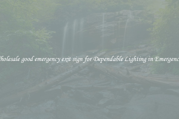 Wholesale good emergency exit sign for Dependable Lighting in Emergencies