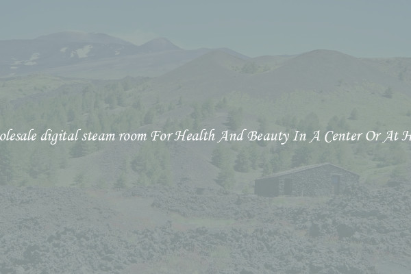 Wholesale digital steam room For Health And Beauty In A Center Or At Home