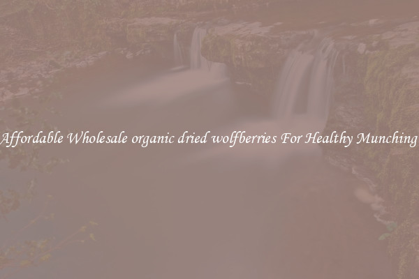 Affordable Wholesale organic dried wolfberries For Healthy Munching 