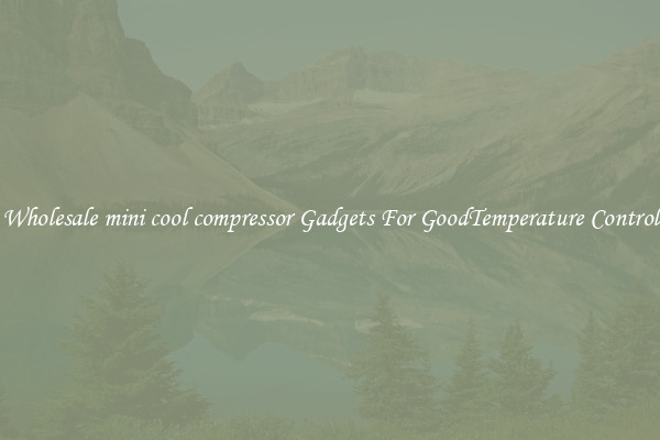 Wholesale mini cool compressor Gadgets For GoodTemperature Control