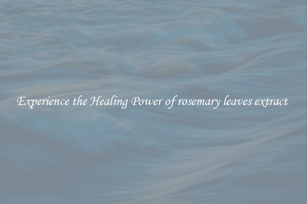 Experience the Healing Power of rosemary leaves extract 