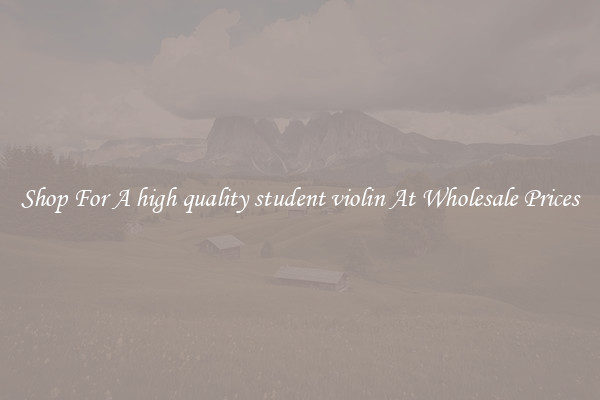 Shop For A high quality student violin At Wholesale Prices