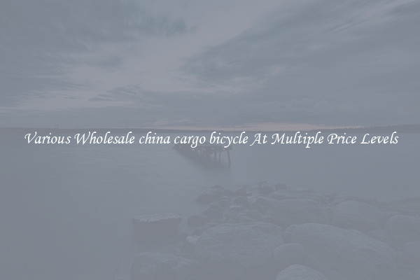 Various Wholesale china cargo bicycle At Multiple Price Levels