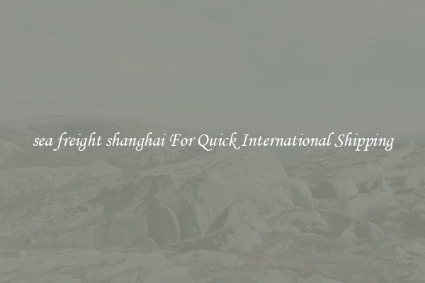 sea freight shanghai For Quick International Shipping