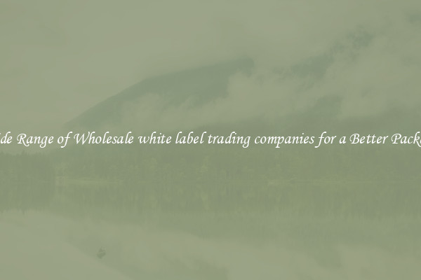 A Wide Range of Wholesale white label trading companies for a Better Packaging 