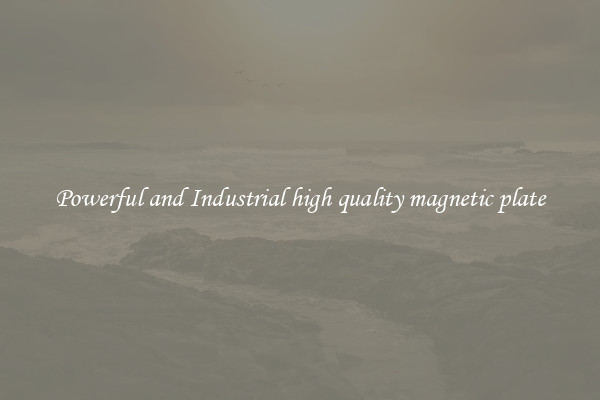 Powerful and Industrial high quality magnetic plate