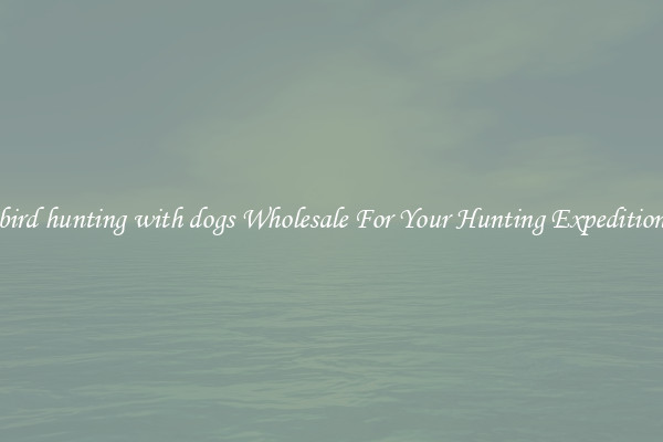 bird hunting with dogs Wholesale For Your Hunting Expedition