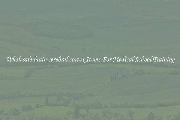 Wholesale brain cerebral cortex Items For Medical School Training
