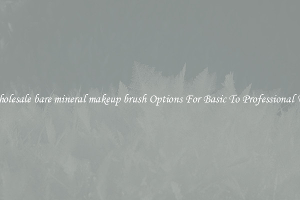 Wholesale bare mineral makeup brush Options For Basic To Professional Use