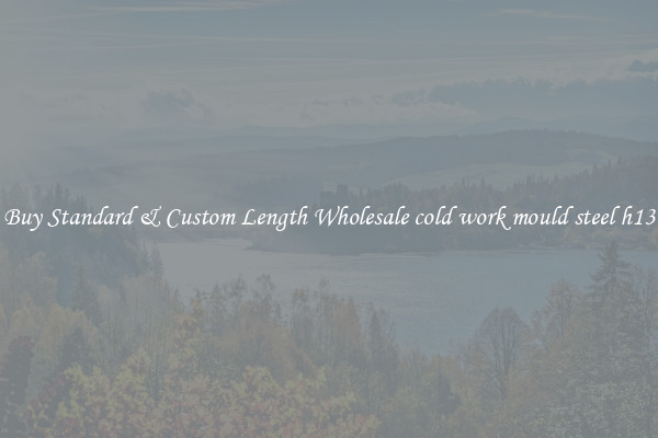 Buy Standard & Custom Length Wholesale cold work mould steel h13