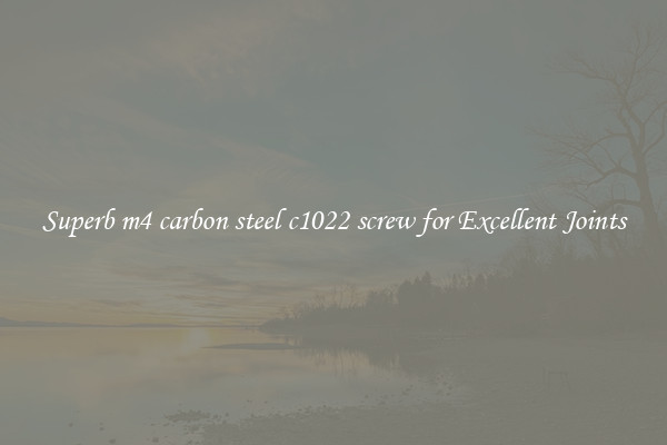 Superb m4 carbon steel c1022 screw for Excellent Joints