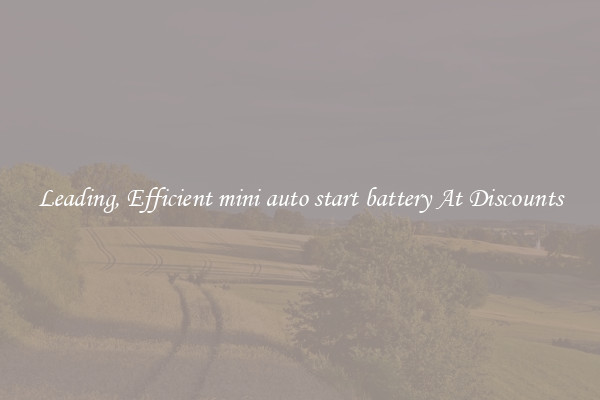 Leading, Efficient mini auto start battery At Discounts