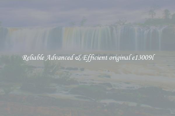 Reliable Advanced & Efficient original e13009l