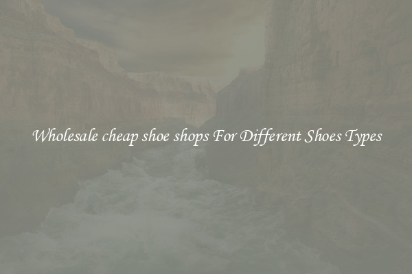 Wholesale cheap shoe shops For Different Shoes Types