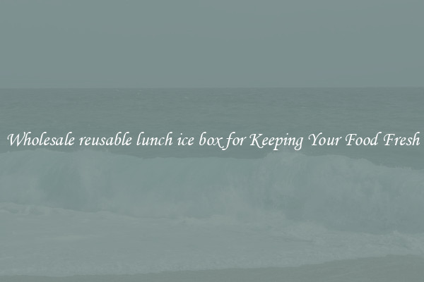 Wholesale reusable lunch ice box for Keeping Your Food Fresh