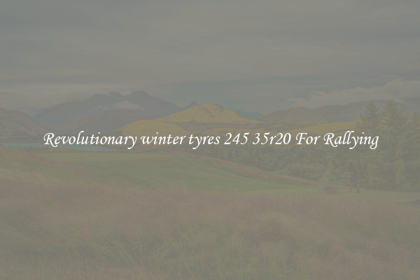 Revolutionary winter tyres 245 35r20 For Rallying